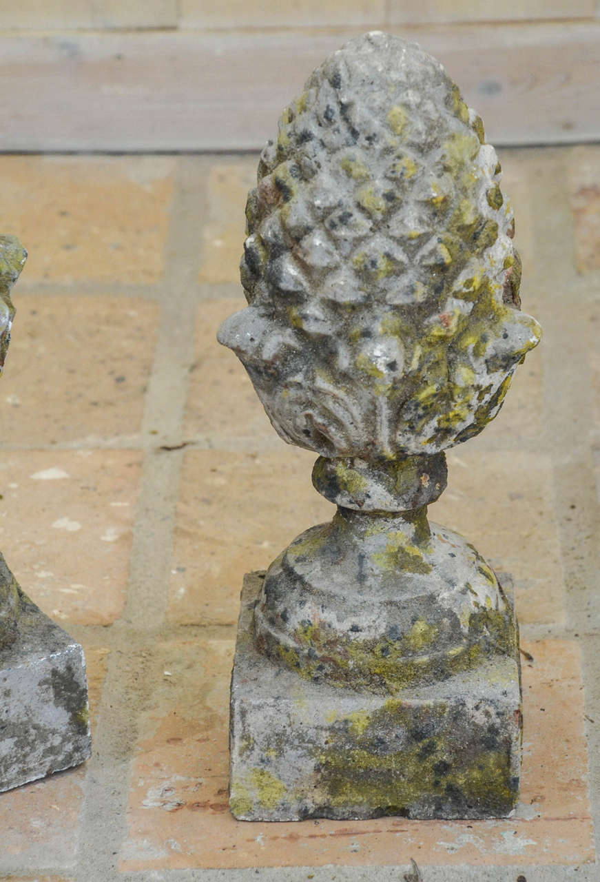 Pair of 19th Century Carved Stone Pineapple Finials In Good Condition In New York, NY